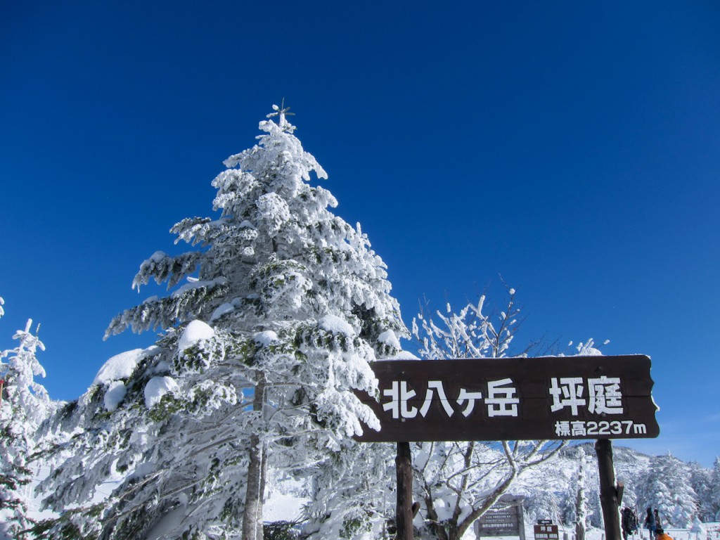 坪庭正面